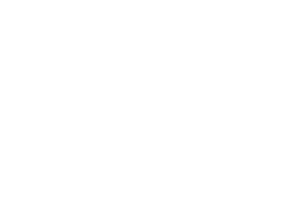 IDARTES